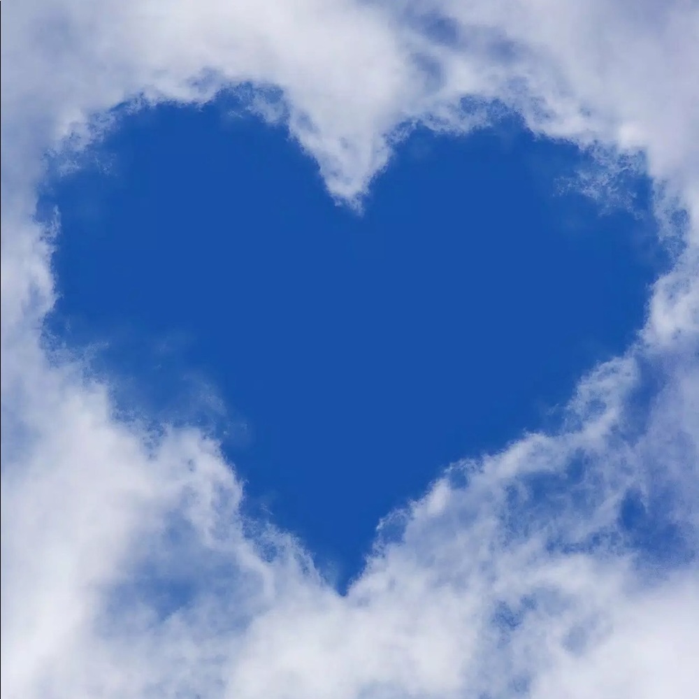 Meet your Posher, Margot